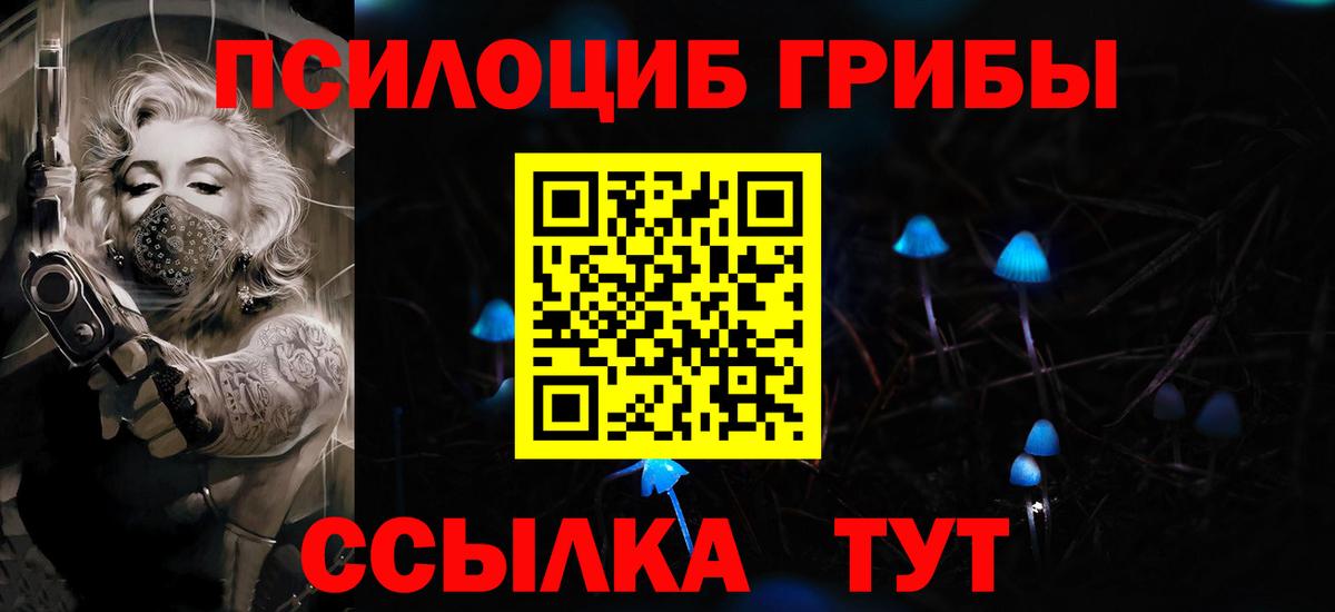 Псилоцибиновые грибы Psilocybine cubensis Набережные Челны